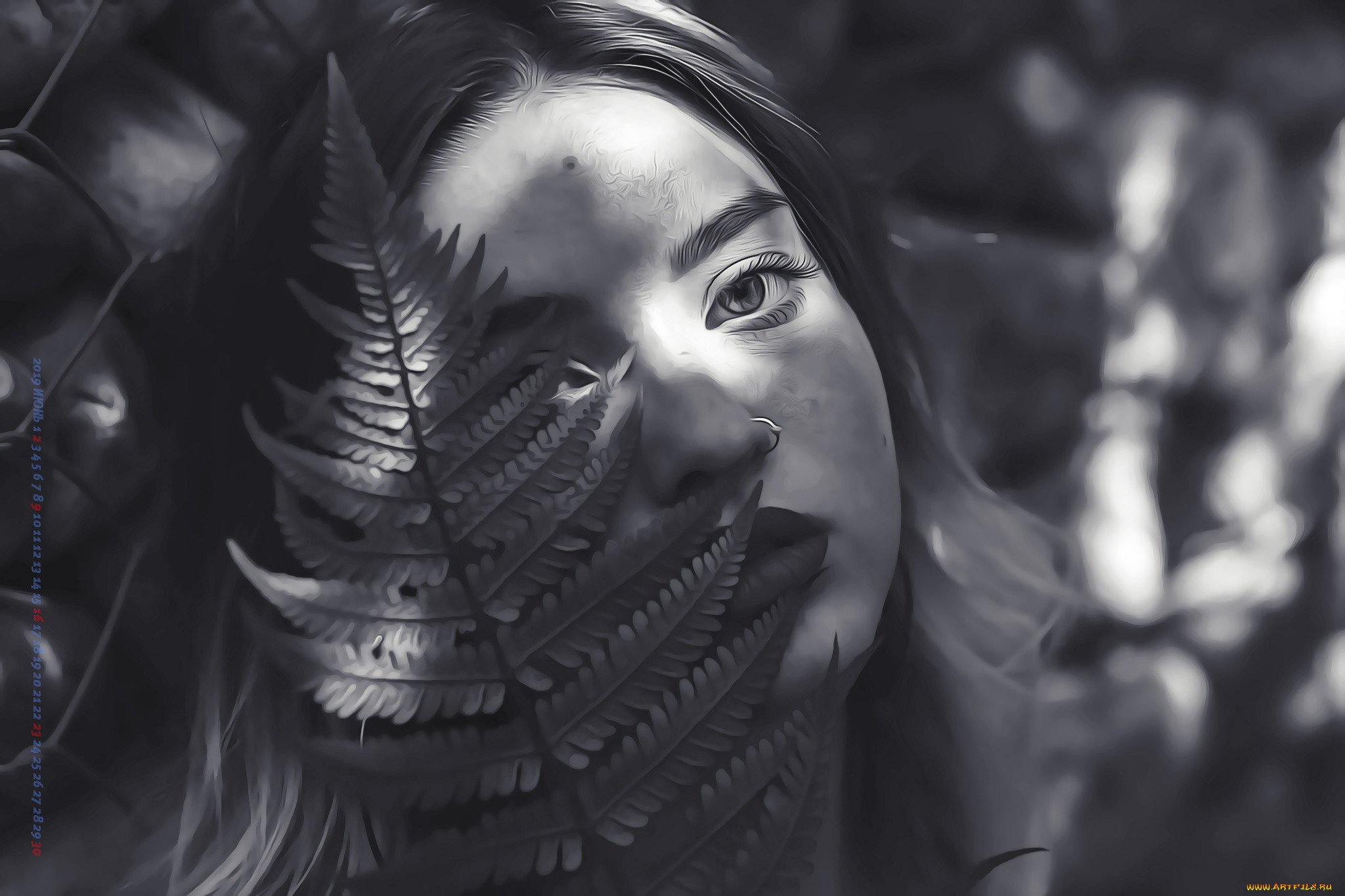 ,  , calendar, 2019, , , , 